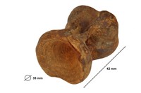 vertebre de poisson